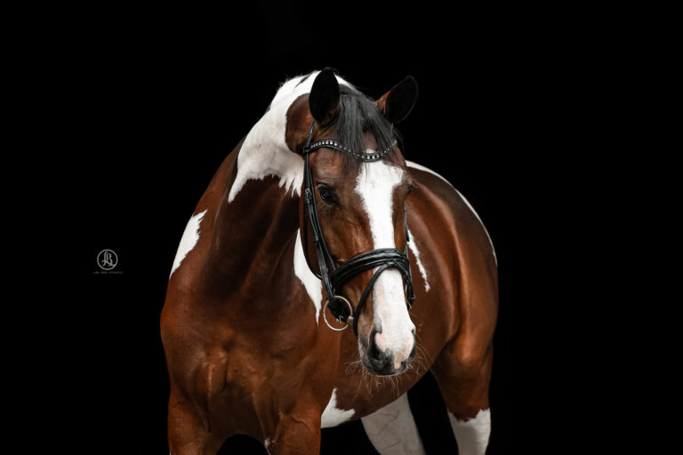 Liane Bron Fotografie -0175web