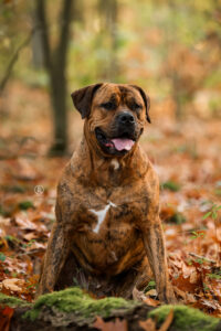 LianeBronFotografie-0449web