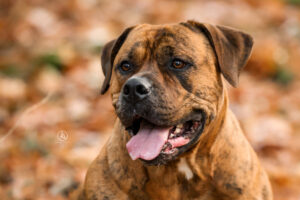 LianeBronFotografie-0454web