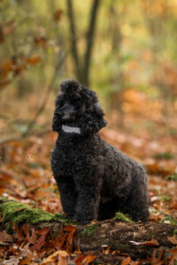 LianeBronFotografie-0485web