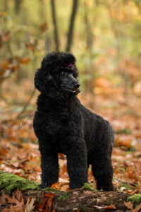 LianeBronFotografie-0531web