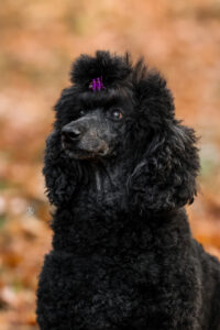 LianeBronFotografie-0535web