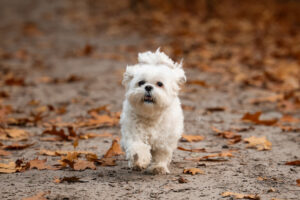 LianeBronFotografie-1027web